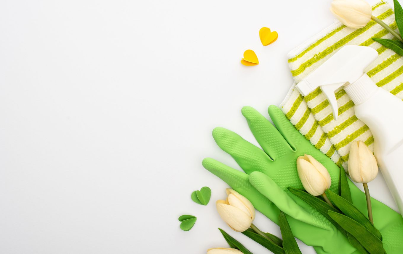 Green cleaning service